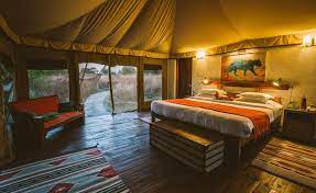 Wildlife Tour Kanha